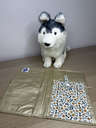 IMG_3491.webp