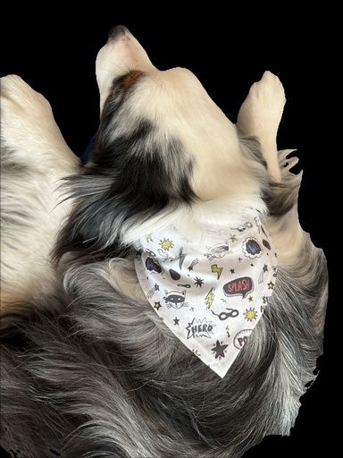 Bandana Chien Taille M